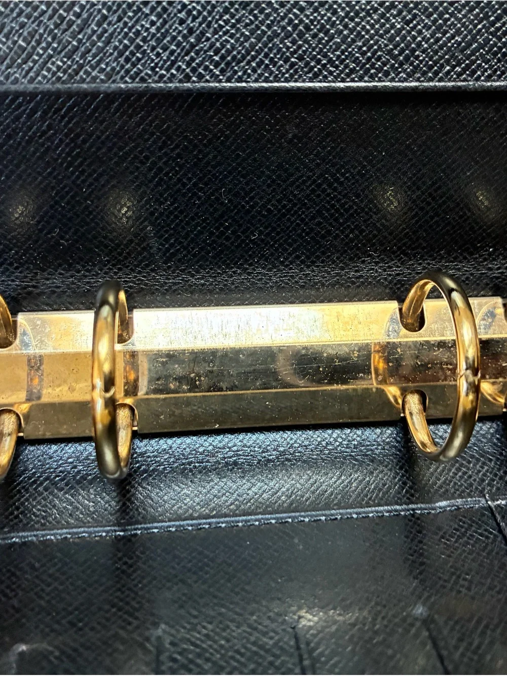 LV Red Epi MM Agenda